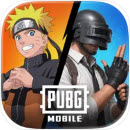 pubg国际服