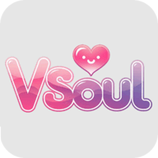 Vsoul AI