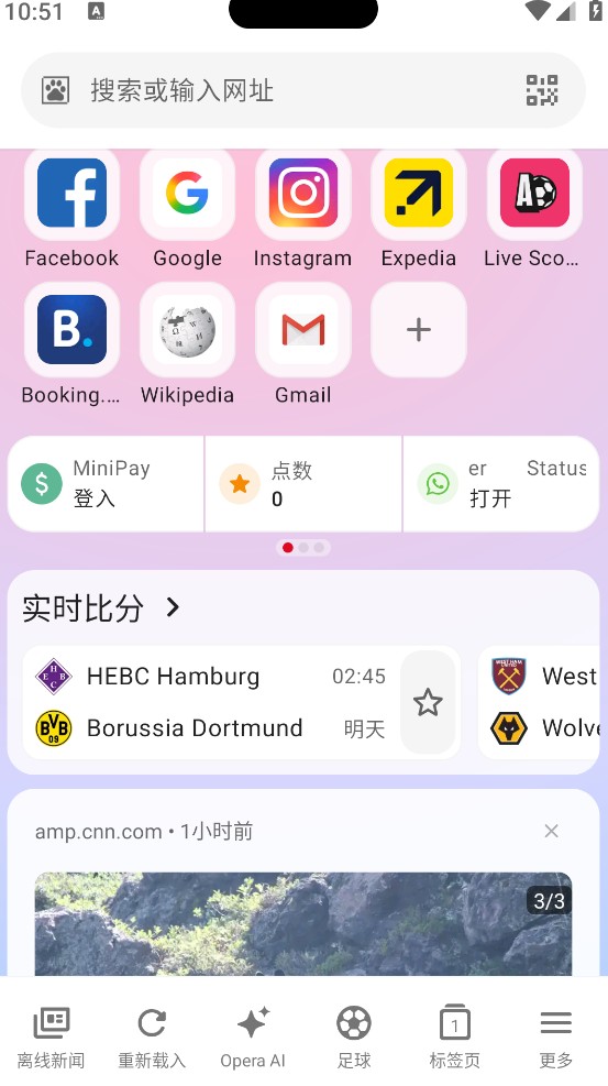 Opera浏览器迷你版截图0