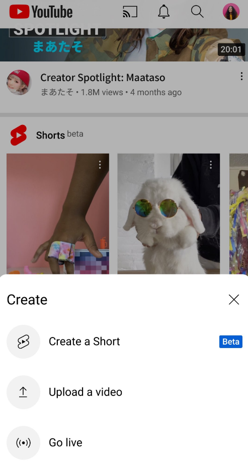 YouTube