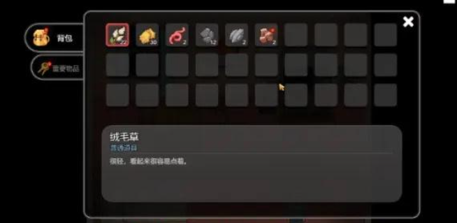 乡村狂想曲
