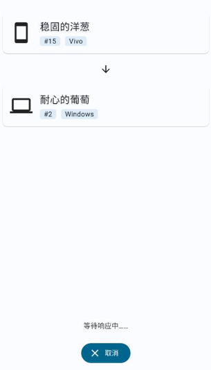 LocalSend