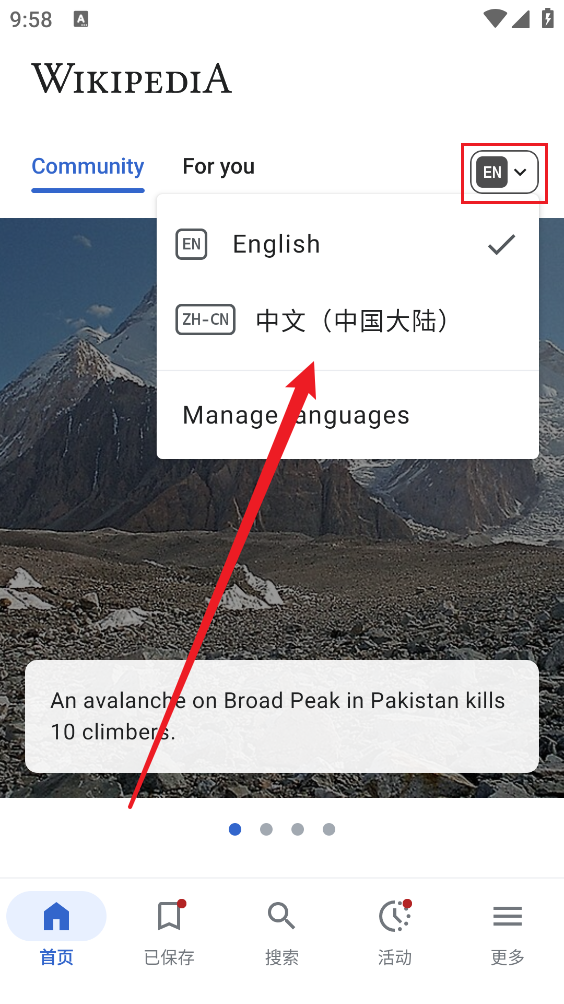 维基百科