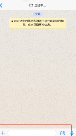 whatsapp聊天