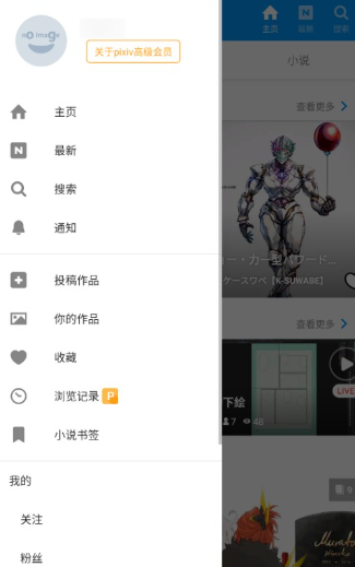 p站