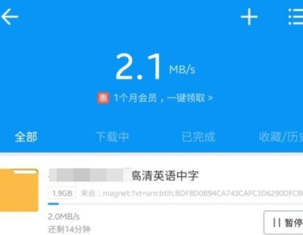 磁力猫