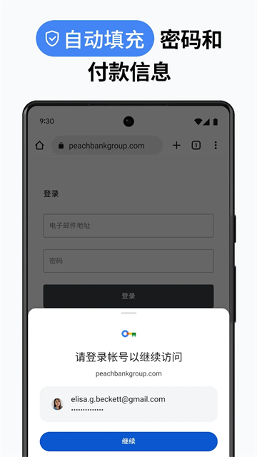 Chrome截图1