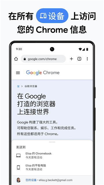 Chrome截图4
