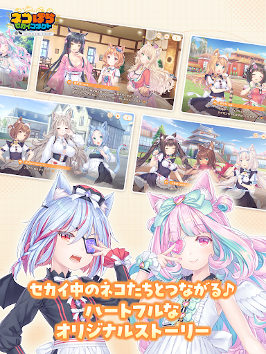 猫娘乐园世界连结截图1