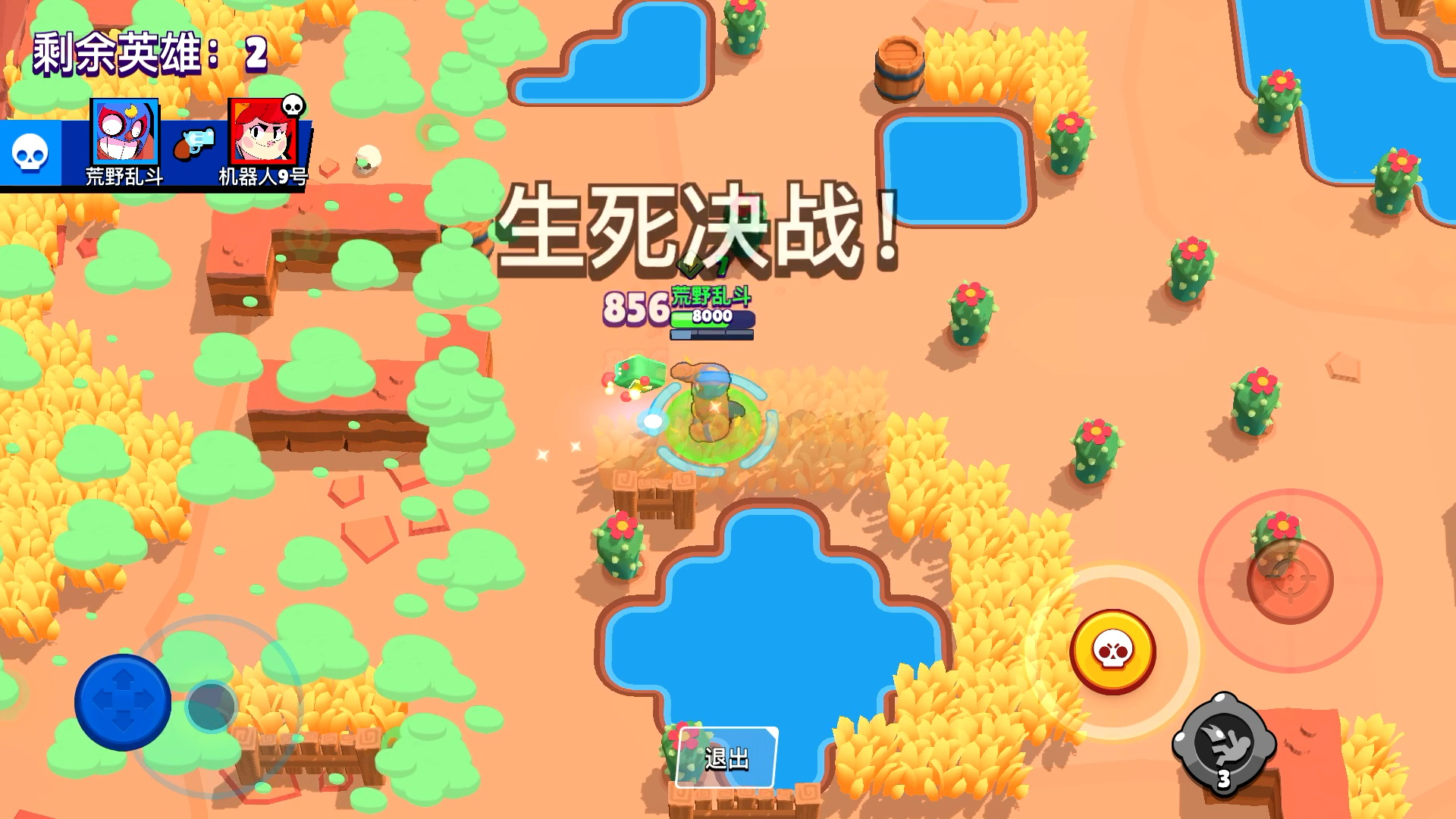 荒野乱斗