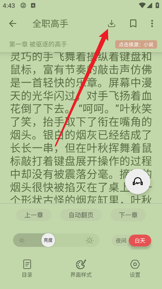 黑猫小说