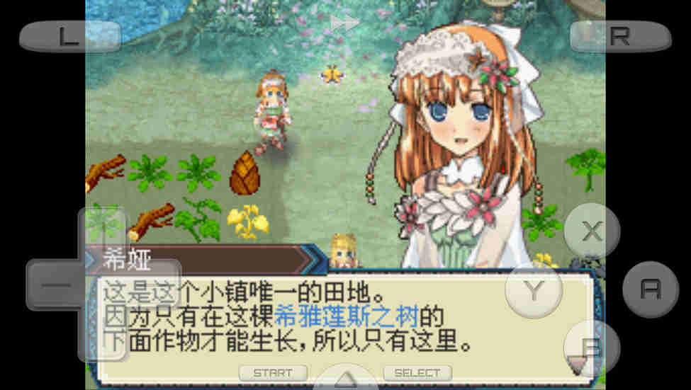 符文工房3截图2