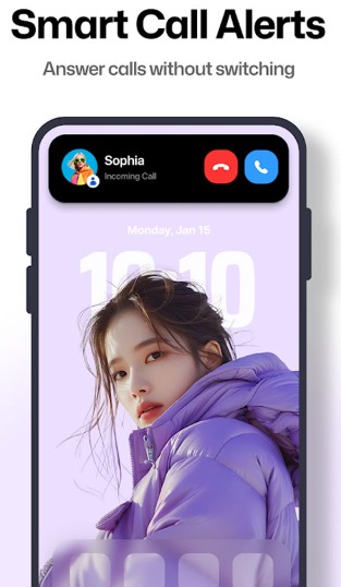 灵动岛pro截图3