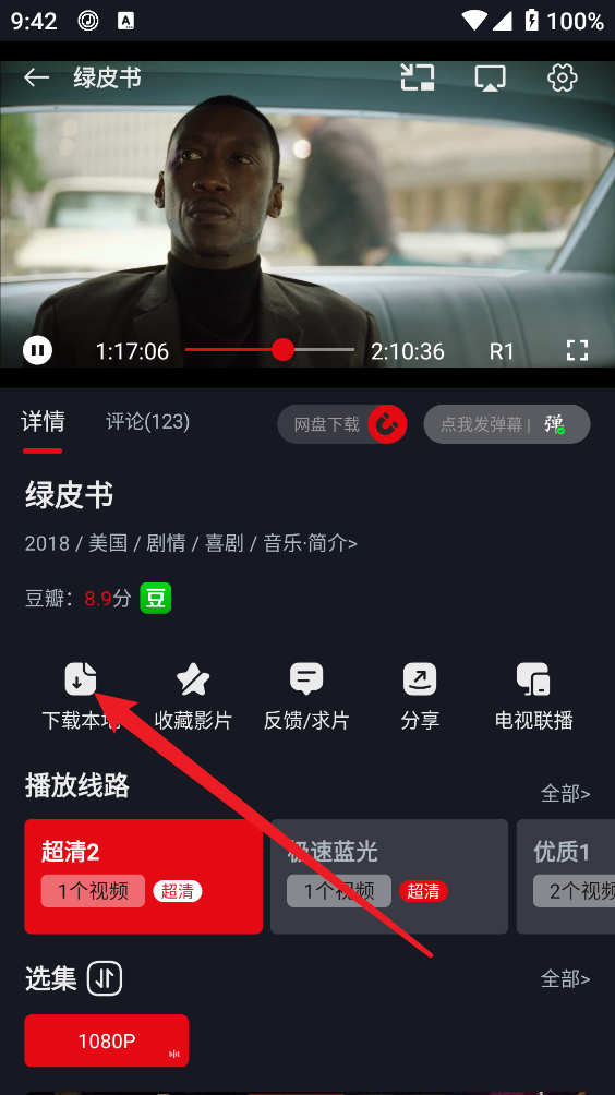 网飞猫