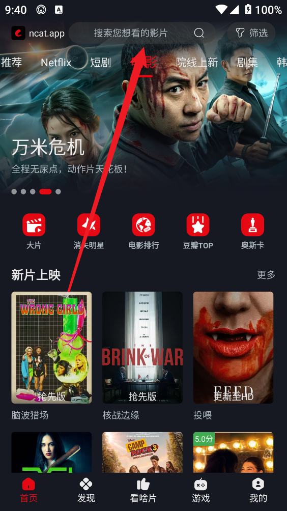网飞猫