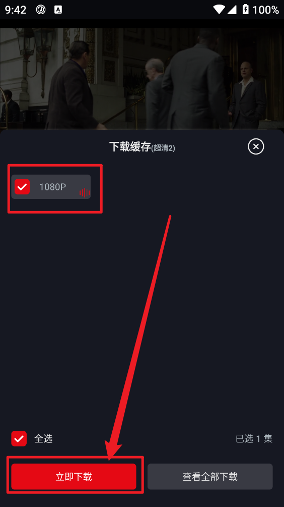 网飞猫