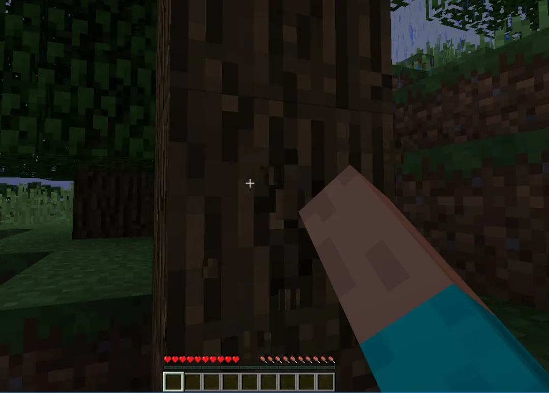 我的世界移动版