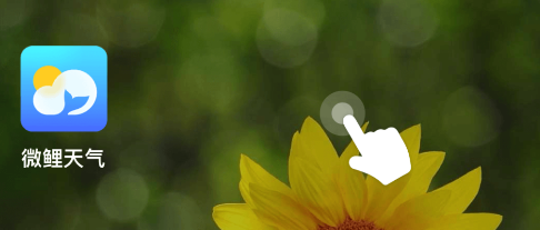 微鲤天气
