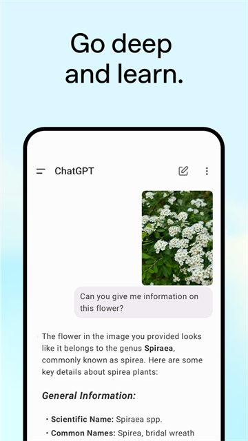 ChatGPT截图2