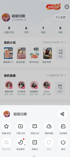 UC浏览器手机版