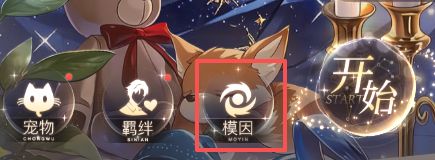 代号大女主