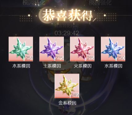 代号大女主