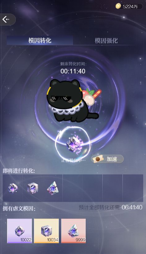 代号大女主