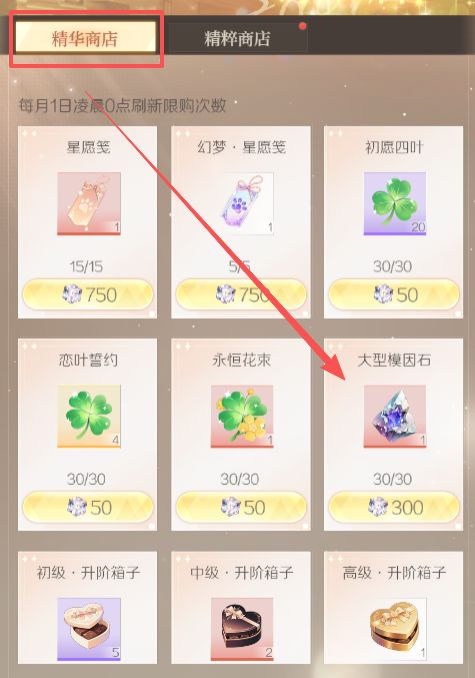 代号大女主