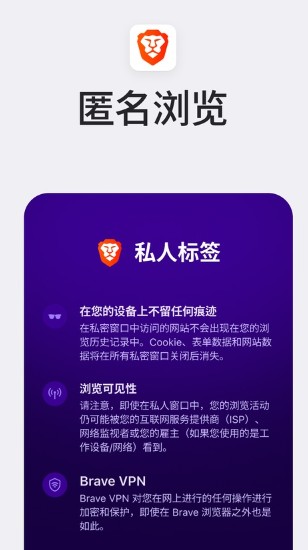 Brave浏览器截图3