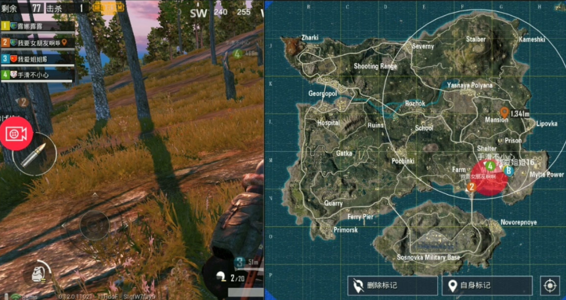 pubg国际服