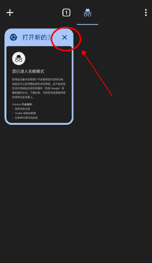 Chrome谷歌浏览器