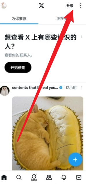 X(原Twitter)