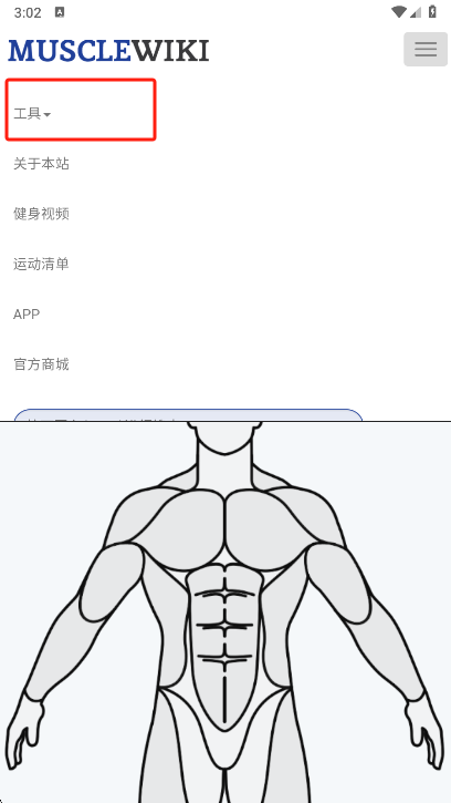 MuscleWiki