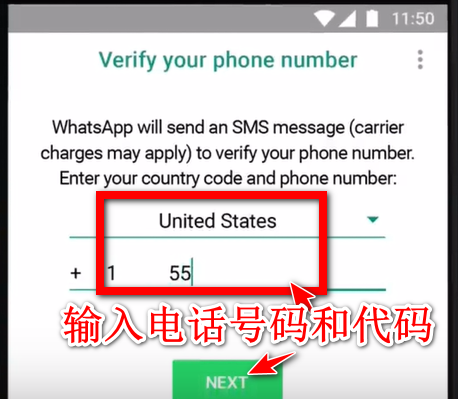 WhatsApp安卓版