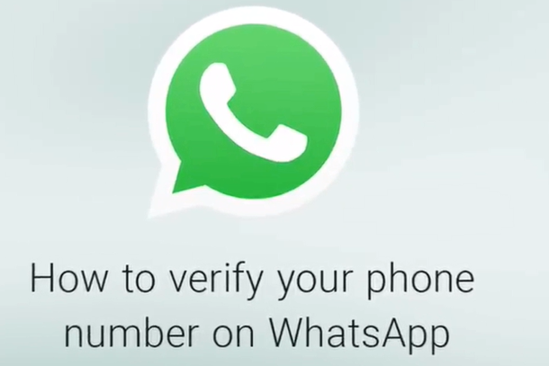 WhatsApp安卓版