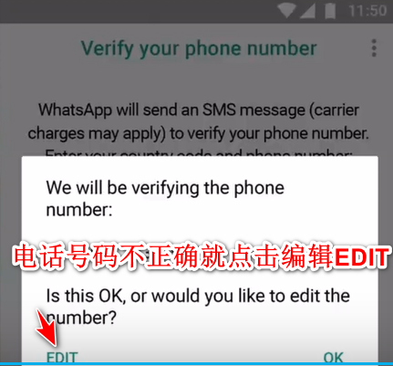 WhatsApp安卓版