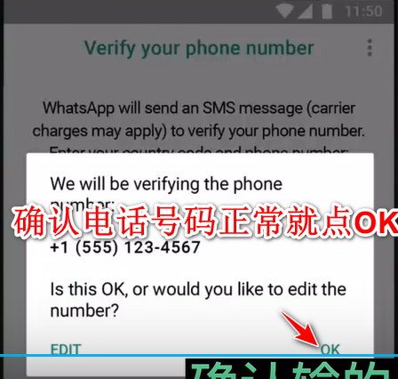 WhatsApp安卓版