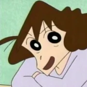 蜡笔小新之小帮手大作战