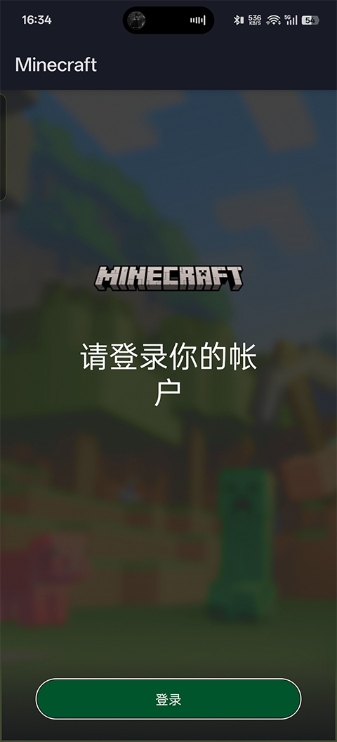 Minecraft国际版