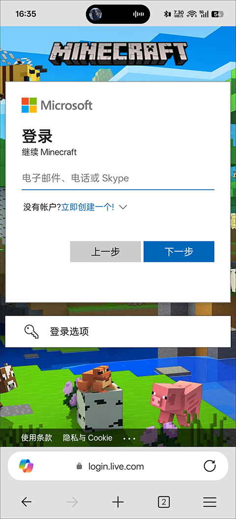 Minecraft国际版
