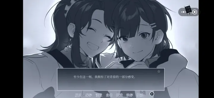 纤维