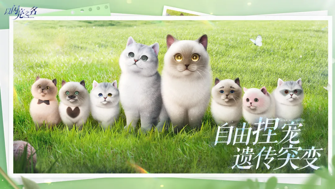 以闪亮之名截图4