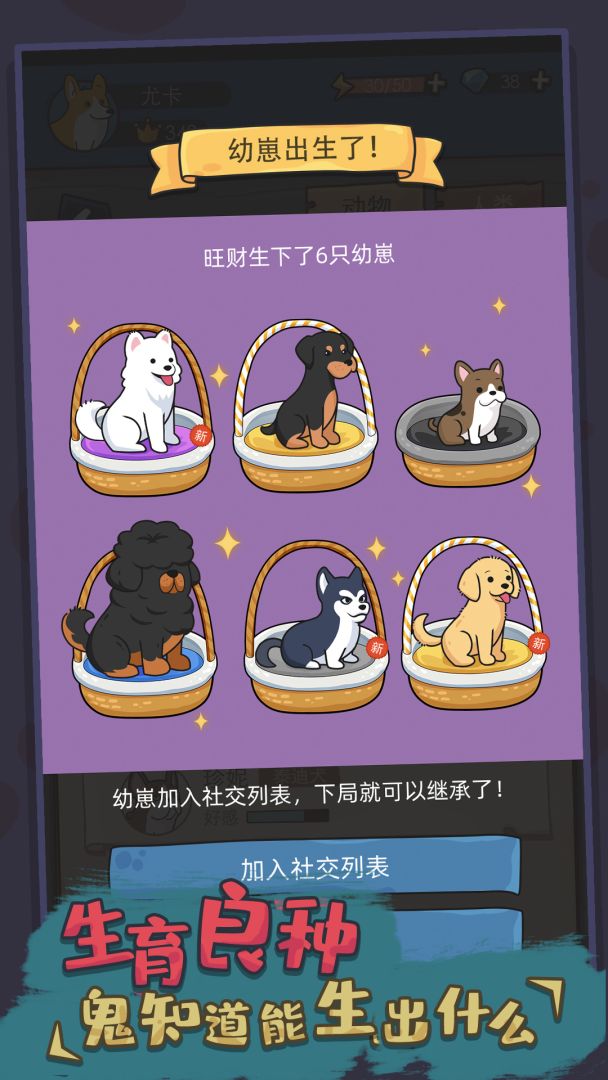 狗生模拟器截图3