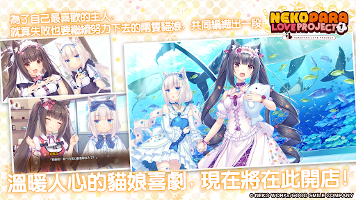 猫娘乐园截图2