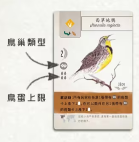 展翅翱翔