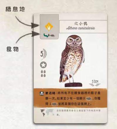 展翅翱翔
