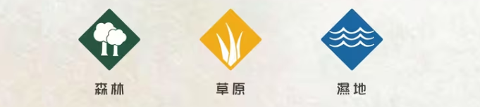 展翅翱翔
