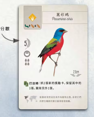 展翅翱翔