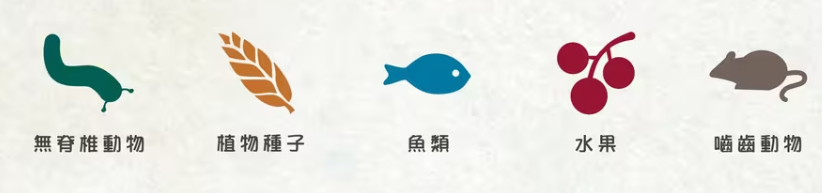 展翅翱翔