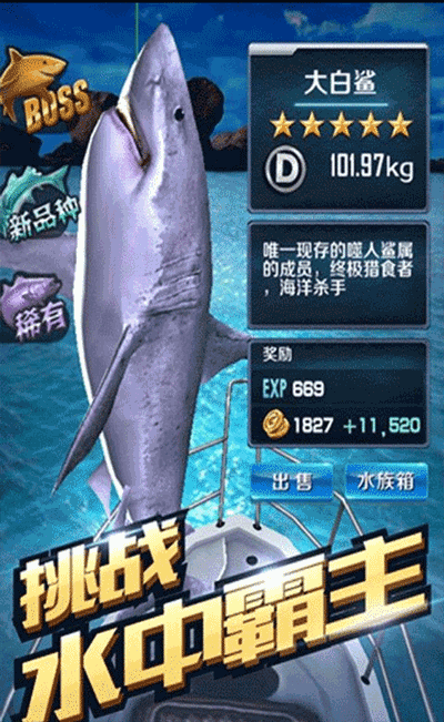 全民钓鱼截图3